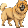 Chow Chow Dog