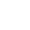 Punk Skull