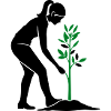 Tree Plants Nature Conservation