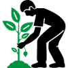 Tree Plants Garden Environment