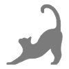 Katze grau