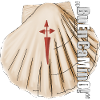 Scallop