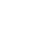 Snowflake Snow Crystal