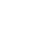 Snowflake Snow Crystal