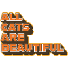 All Cats Are Beautiful – Stylish Statement