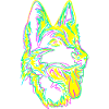 Hund bunt