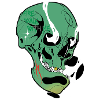 Schädel