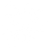 Le lotus blanc et l'oiseau