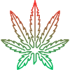 Hemp
