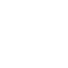 Bicycle American Flag