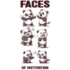 Angry Panda
