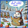 Rabbit