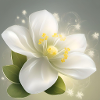 Delicate Flower