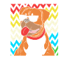 Boxer Dog