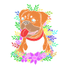 Chien Boxer
