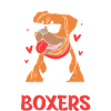 Boxer Dog