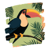 Toucan