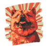 Chow Chow