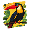 Toucan