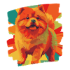 Chow Chow