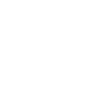 Freelancer