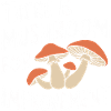 Champignons Champignons Champignon Champignon