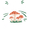 Champignons Champignons Champignon Champignon