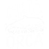 Orca orca assassina oceano balene animali