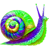 Snail