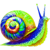 Snail