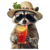 Waschbär