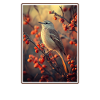 Oiseaux moqueurs Oiseaux moqueurs