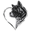 Akita