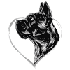 Cane Corso