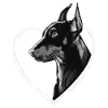 Dobermann
