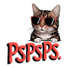 Kätzchen Pspsps Katze