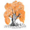 MJR - Orange Tree