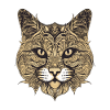 Cat Portrait Head