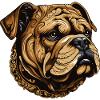 Bulldog Dog Portrait