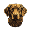 Labrador Hund Portrait