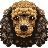 Poodle Dog Portrait