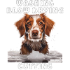 CHIENS LAVAGE BRUSHING COUPE