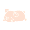 cochon