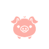 cochon