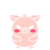 cochon