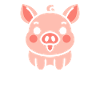 cochon