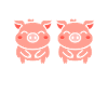 cochon