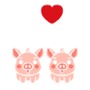 cochon