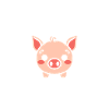 cochon