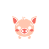cochon